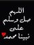 Emy Mohsen