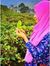 Fathima...