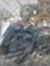 Anshul ...