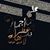 Walaa Amer