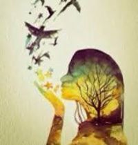 سجود القواسمي