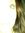 Lacey n...