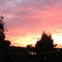 john robert wilkinson