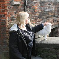Ms S Brasted