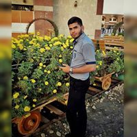 احمد عبد الرحمن