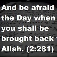 Syed Aleeh