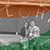 Subhash Gopinath