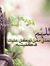 Nour Sadek
