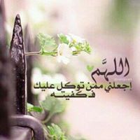 Nour Sadek