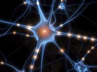 Ильдар Бикмаев