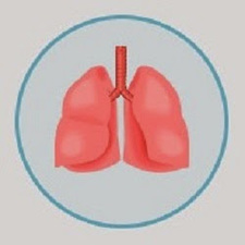 Mesothelioma Adviser