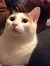 Dorian