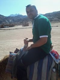 سيد الحجازى