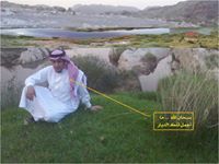 محمد الشهري