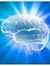 Brain S...