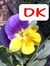 Diksha Kg