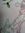 Terese ...