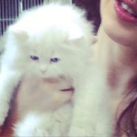 هيرا مارسيل الحايك