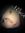 Nour Awad