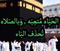 محمود مصطفي