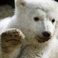 Божидар Кирилов