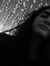 Carine