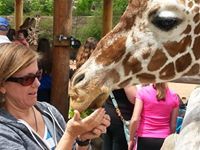 Marsha Cook Crabtree