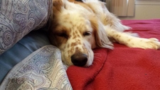 George