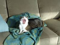 Marilyn Lucille Yates