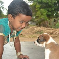 தொன் போஸ்கோ