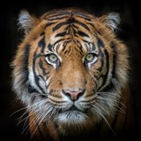 Shobha Muthukrishnan