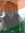 Chand S...