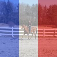 Michele Improta Moore