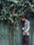 Arjun B...