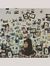 Annisa ...