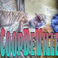 Coop DeVille