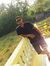 Sahil S...