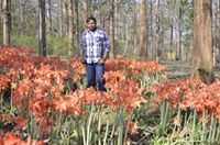 Santosh Paul