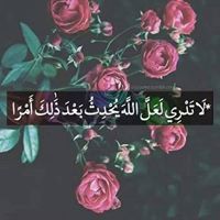 Omar Awni