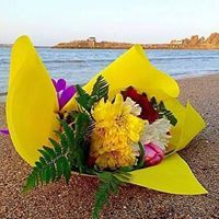 هيثم المدني