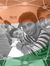 Mayur A...