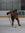 Griffin Mudge