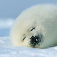 நந்த குமார்