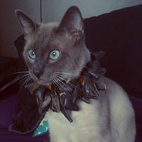 Julieta Anabel Lopez Derron