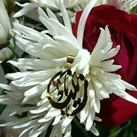 Zainab Hussain