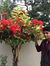 Hemanth...