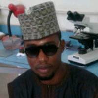 Hassan Musa Chiwar