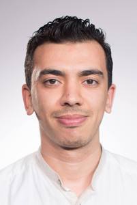 محمود شاهين