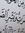 Taha Sh-D