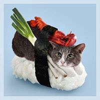 เสี่ยวเอ้อ เผลอเข้าดงวาย